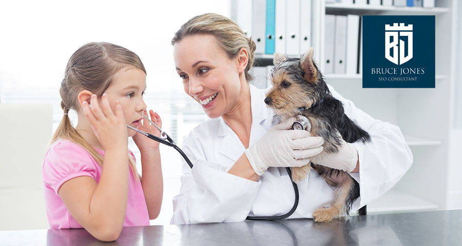 vet SEO marketing for animal hospitals