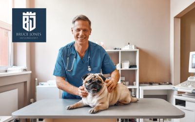 Why Local SEO is Effective for Veterinary Clinics During COVID-19