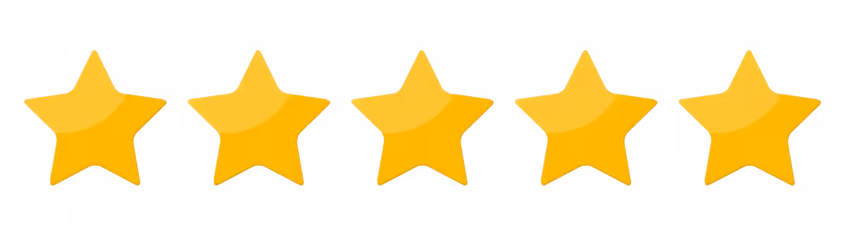 5 stars google review
