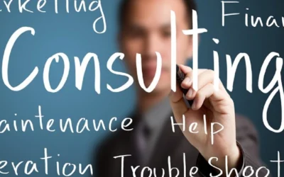 Why Every Entrepreneur Needs a Small Business Consultant Today