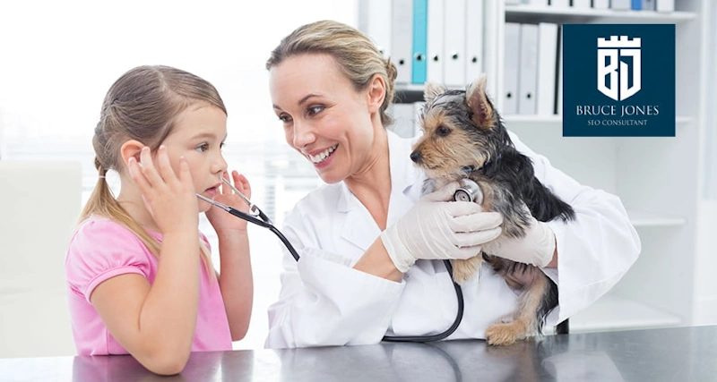 A child and a vet with a stethoscope and a dog in clinic illustrating effective SEO for Veterinarians